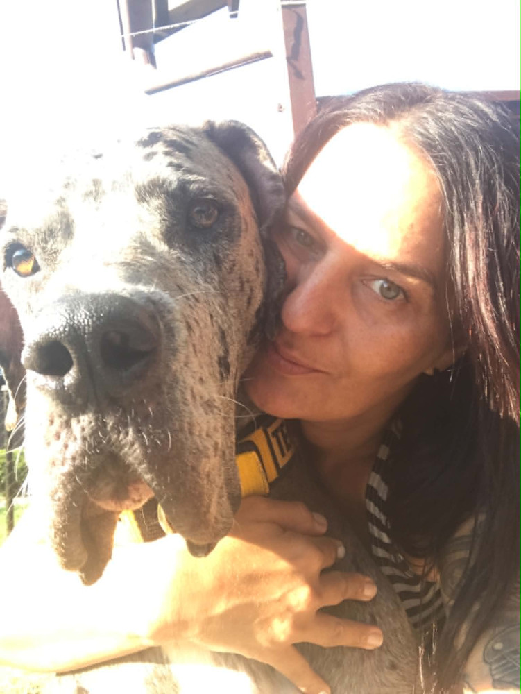 Tequila - Stowarzyszenie Dogi Adopcje